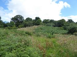 Snodhill Castle